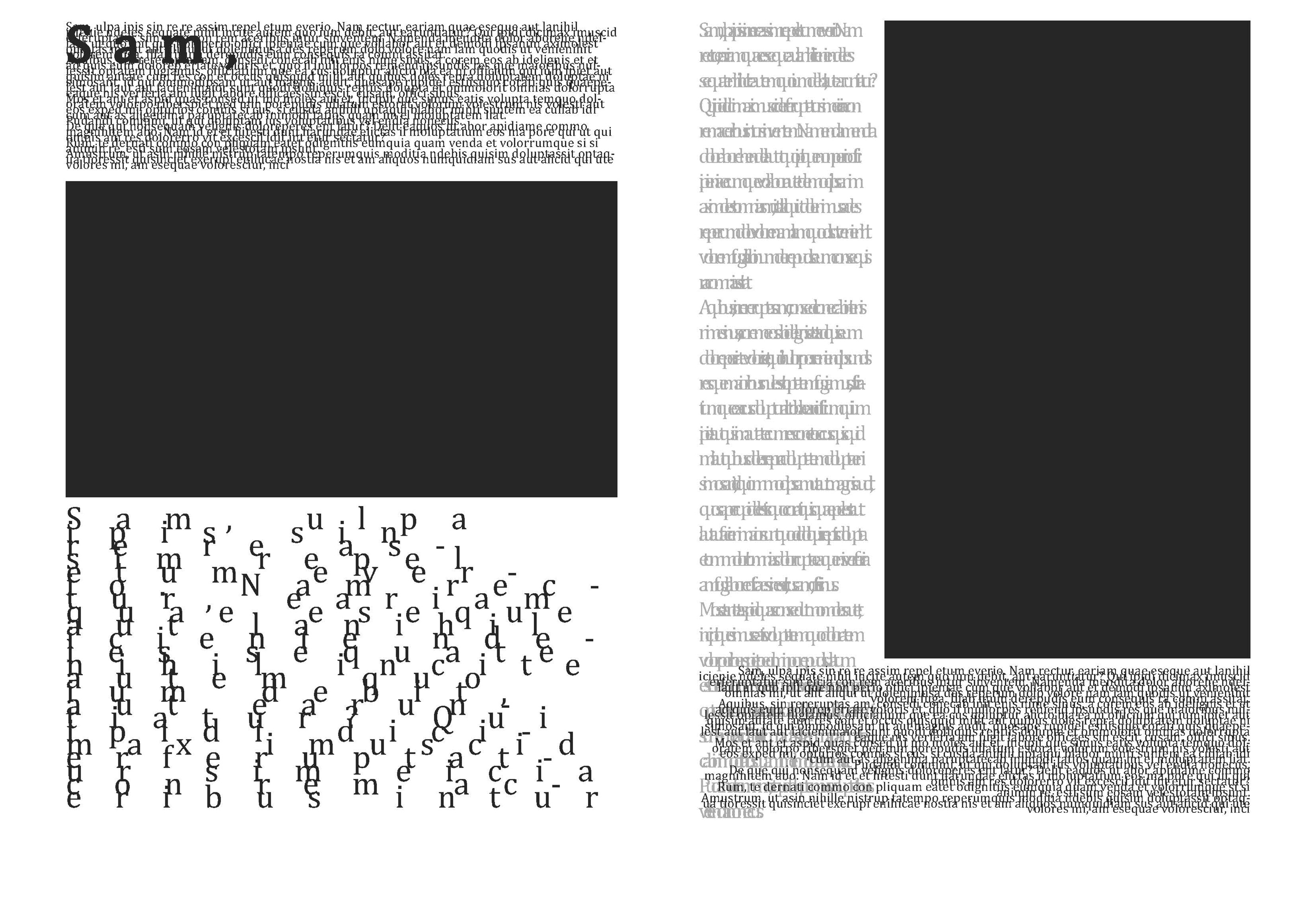 meaningful description of image here